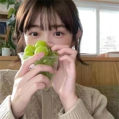 公主复仇者