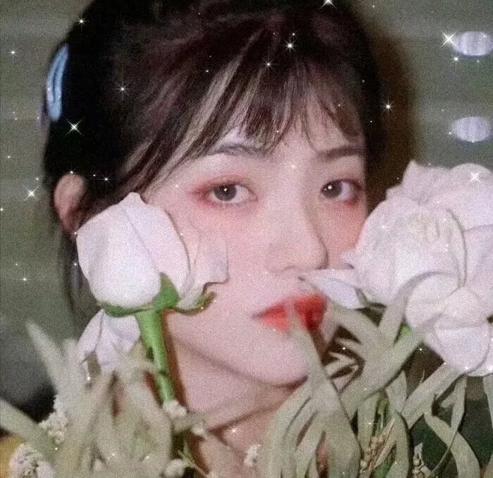 别碰我的梦